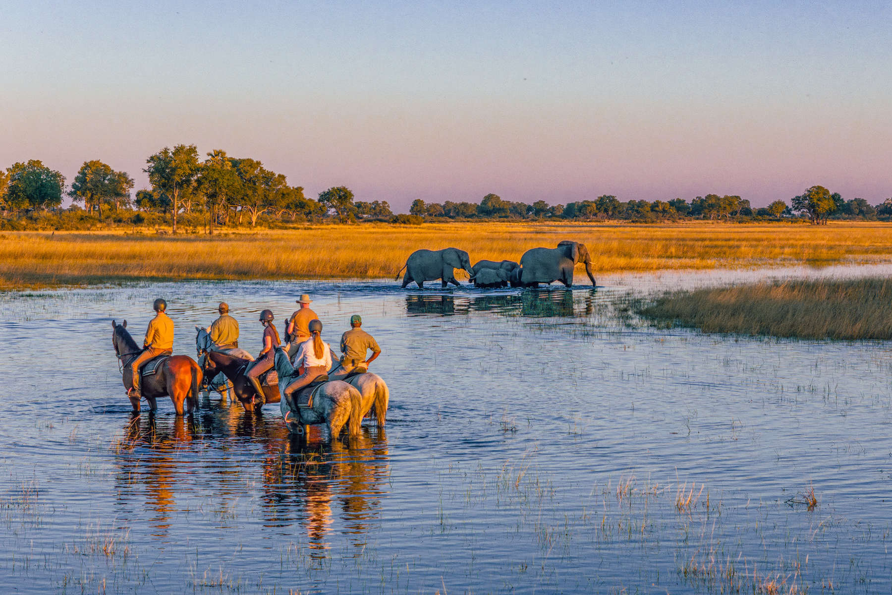 Okavango Delta